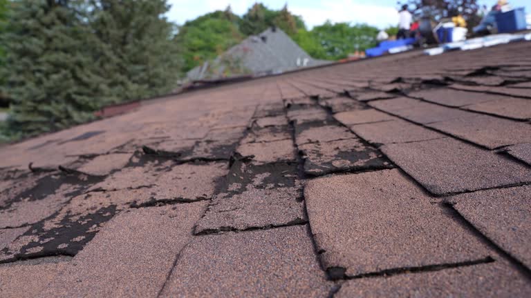 Best Roof Leak Repair  in Hughson, CA